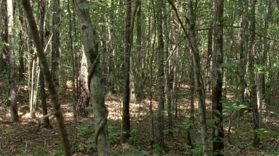 twd0604-4550.jpg