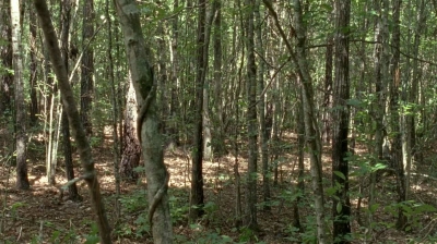 twd0604-4551.jpg