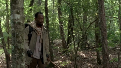 twd0604-4561.jpg