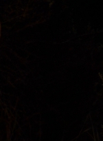twd0604-0305.jpg