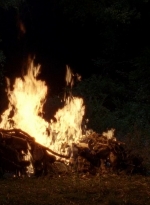 twd0604-0306.jpg