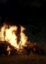 twd0604-0311.jpg