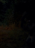 twd0604-0332.jpg