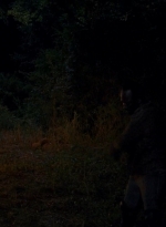 twd0604-0333.jpg