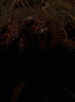 twd0604-0334.jpg