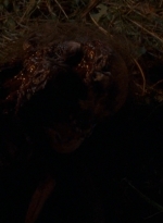 twd0604-0335.jpg