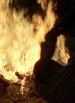 twd0604-0337.jpg
