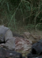 twd0604-0399.jpg