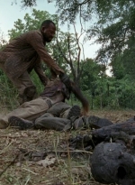 twd0604-0403.jpg