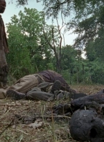 twd0604-0404.jpg