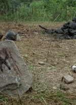 twd0604-0457.jpg