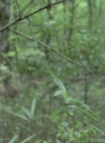 twd0604-0458.jpg