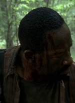 twd0604-0485.jpg