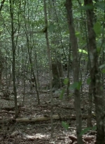 twd0604-0492.jpg