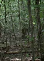 twd0604-0494.jpg