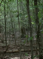 twd0604-0495.jpg