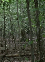 twd0604-0498.jpg