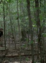 twd0604-0500.jpg