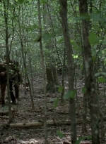 twd0604-0503.jpg