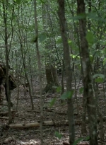 twd0604-0504.jpg
