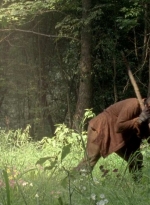 twd0604-0759.jpg