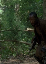 twd0604-0821.jpg