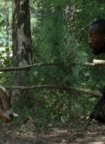 twd0604-0828.jpg