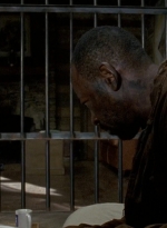 twd0604-1016.jpg