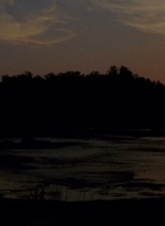twd0604-1433.jpg