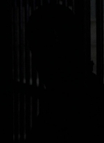 twd0604-2141.jpg