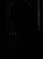 twd0604-2143.jpg