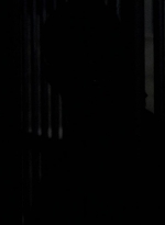 twd0604-2144.jpg