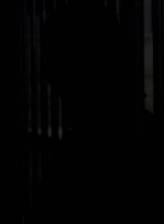 twd0604-2145.jpg