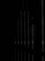 twd0604-2155.jpg