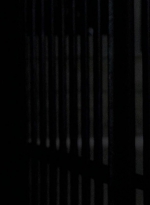 twd0604-2157.jpg