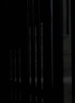 twd0604-2161.jpg