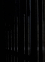 twd0604-2162.jpg