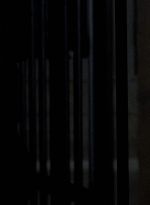 twd0604-2164.jpg