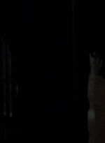 twd0604-2166.jpg