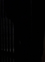 twd0604-2167.jpg
