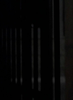 twd0604-2168.jpg