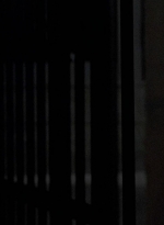twd0604-2169.jpg