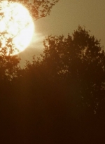 twd0604-2201.jpg