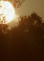 twd0604-2202.jpg