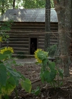 twd0604-2383.jpg