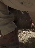 twd0604-2618.jpg