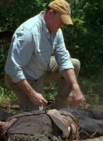 twd0604-2620.jpg