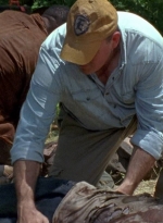 twd0604-2634.jpg