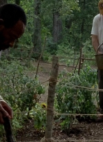 twd0604-2760.jpg