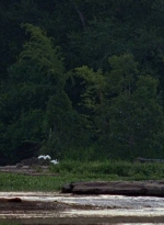 twd0604-3310.jpg